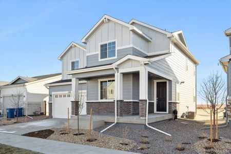 New construction Single-Family house 1322 Bloom St, Brighton, CO 80601 null- photo 11 11