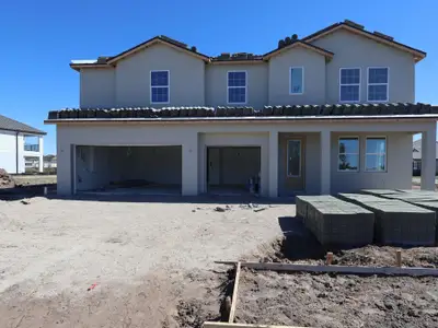 New construction Single-Family house 1774 Drummond Pt, Zephyrhills, FL 33541 plan Windsor - image