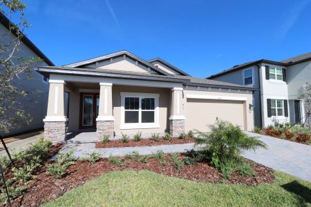 New construction Single-Family house 33227 Amling Pecan Br, Wesley Chapel, FL 33545 Newport II- photo 113 113