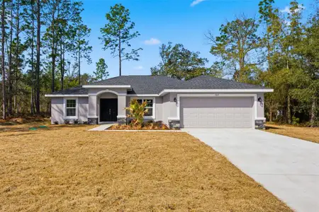 New construction Single-Family house 3115 W Fairbank Dr, Citrus Springs, FL 34433 - image