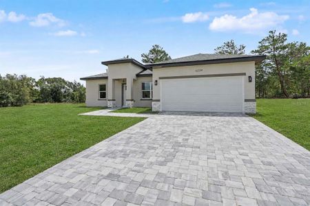 New construction Single-Family house 6234 N Mariner Ter, Citrus Springs, FL 34433 - image