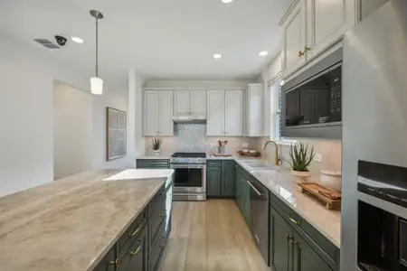 New construction Single-Family house 4309 Woods Ct, Celina, TX 75009 plan Contour - image 11