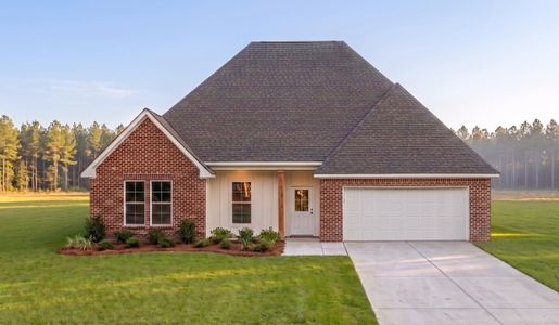 New construction Single-Family house Bridge City, TX 77611 plan Camellia V G - image
