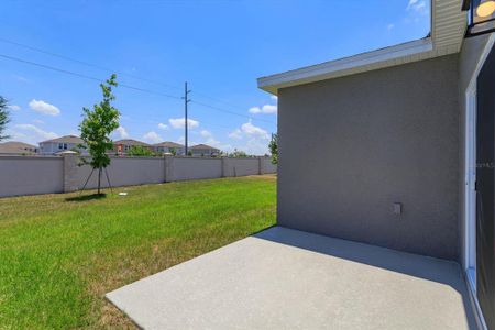 New construction Single-Family house 199 Bottle Brush Dr, Haines City, FL 33844 Bradley- photo 20 20