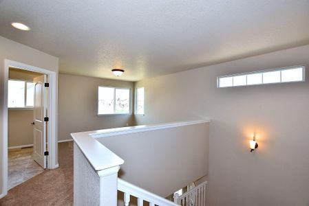 New construction Single-Family house 437 Vivid Ln, Windsor, CO 80550 null- photo 31 31