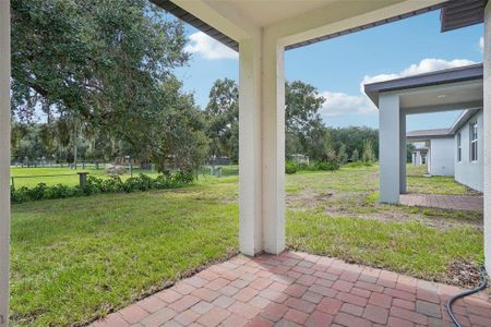 New construction Single-Family house 5186 Minneola Ln, St. Cloud, FL 34772 Daphne- photo 33 33