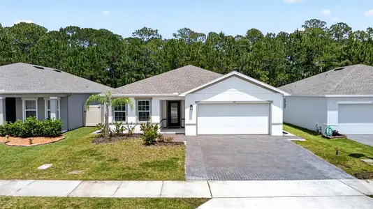 New construction Single-Family house 153 Eagle Harbor Wy, Daytona Beach, FL 32124 - image