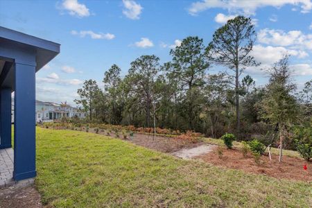 New construction Single-Family house 6224 Trailblaze Bnd, Saint Cloud, FL 34771 null- photo 19 19