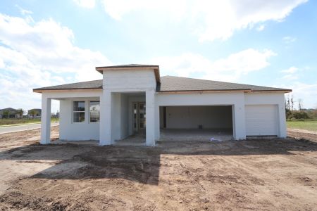 New construction Single-Family house 31119 Hayman Loop, Wesley Chapel, FL 33545 Corina  III- photo 57 57