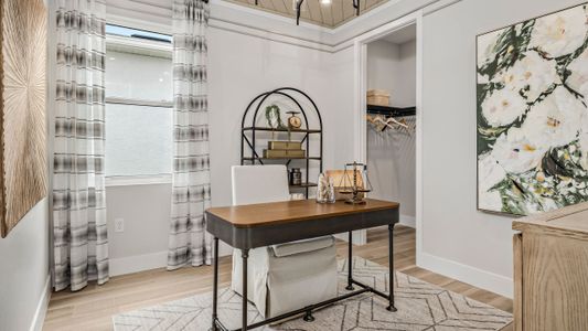 New construction Single-Family house 420 Douglas Hill Dr, Lady Lake, FL 32159 plan Eva - image 18