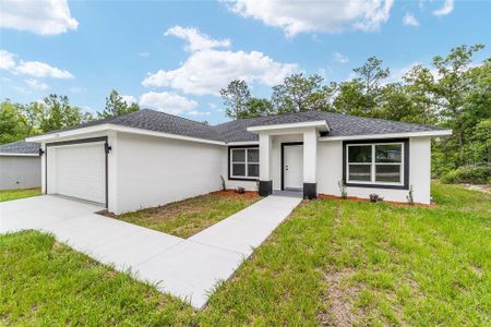 New construction Single-Family house 13786 Sw 113Th Ln, Dunnellon, FL 34432 - image