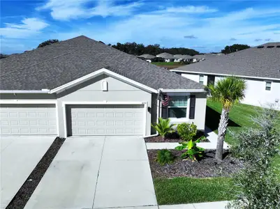 New construction Single-Family house 31130 Mango Fade Wy, San Antonio, FL 33576 - image