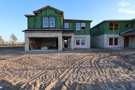 New construction Single-Family house 7837 Painted Sky Place, Land O Lks, Land O' Lakes, FL 34637 plan Coronado III - image