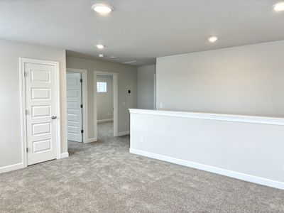 New construction Single-Family house 121 Rock Cress Trl, Greenville, SC 29607 plan The Princeton A - image 19
