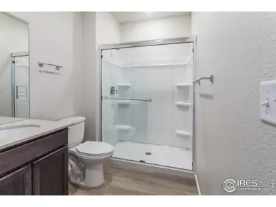 New construction Multi-Family house 2120 Falling Leaf Dr, Unit 8, Windsor, CO 80550 - image 5