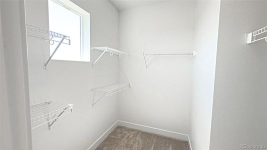New construction Townhouse house 2668 W 68Th Ave, Denver, CO 80221 null- photo 14 14