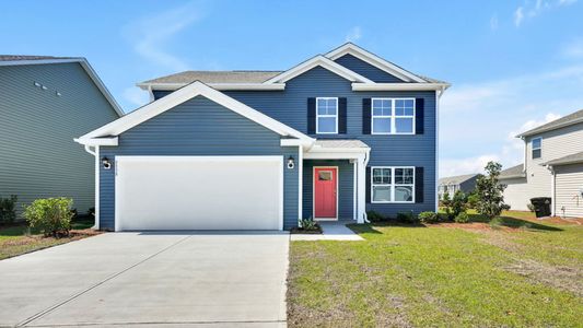 New construction Single-Family house 5338 Areca Rd, Castle Hayne, NC 28429 plan Elle - image