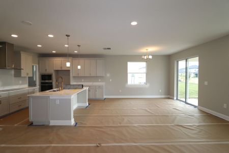 New construction Single-Family house 31236 Denham Ridge Ln, Wesley Chapel, FL 33545 Santa Monica- photo 128 128