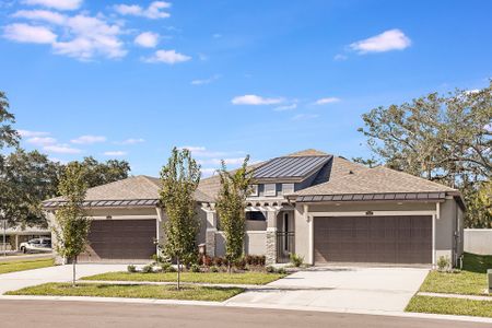 New construction Townhouse house 210 Villa Luna Lane, Lutz, FL 33549 - photo 0