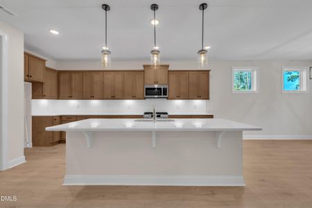 New construction Single-Family house 131 E Victoria Ridge Dr, Unit 12, Selma, NC 27576 - image 6