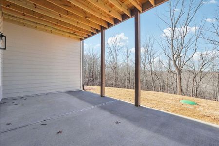 New construction Single-Family house 7375 Crestline Dr, Dawsonville, GA 30534 null- photo 56 56