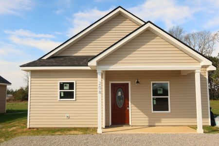 New construction Single-Family house 208 Avocada Dr, Santee, SC 29142 - image