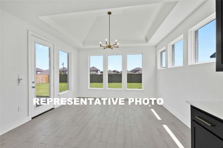 New construction Single-Family house 17616 Absinthe Dr, Austin, TX 78738 The Collins- photo 9 9