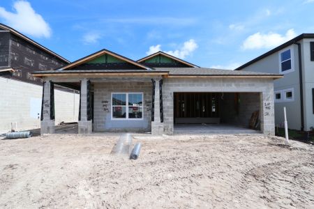 New construction Single-Family house 33227 Amling Pecan Br, Wesley Chapel, FL 33545 Newport II- photo 4 4