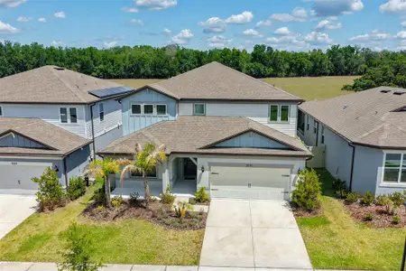 New construction Single-Family house 3070 Forest Meadow Ave, Valrico, FL 33594 - image