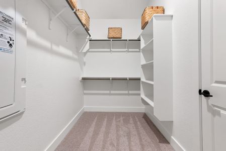 New construction Single-Family house 119 Coleto Tr, Bastrop, TX 78602 plan Cheyenne II - image 18