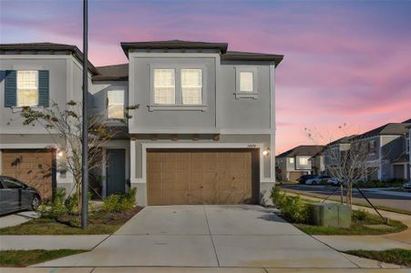 New construction Townhouse house 10824 Fanning Springs Ct, Tampa, FL 33647 - image