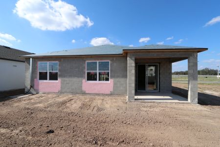 New construction Single-Family house 3164 Adams Cross Dr, Zephyrhills, FL 33540 Marque- photo 24 24