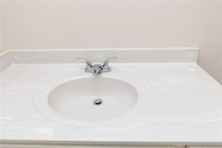 New construction Single-Family house 189 Hydrangea Ct, Dallas, GA 30132 Augusta- photo 13 13