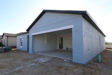 New construction Single-Family house 12263 Hilltop Farms Dr, Dade City, FL 33525 Sentinel- photo 72 72