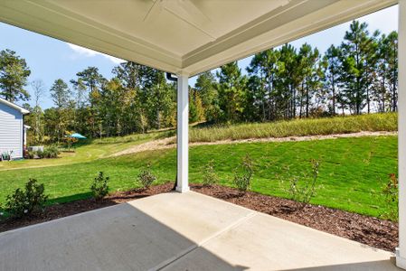 Serenity - The Village Collection by David Weekley Homes in Fuquay Varina - image 6