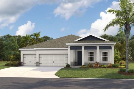 New construction Single-Family house 34009 Twilight Sea Pl, Wesley Chapel, FL 33545 plan Hyde Park III - image