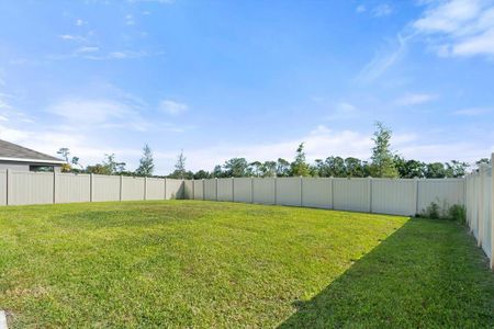 New construction Single-Family house 6314 Distant Haze Pl, Palmetto, FL 34221 - image