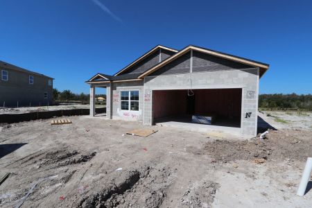 New construction Single-Family house 31229 Denham Ridge Ln, Wesley Chapel, FL 33545 Newport II- photo 12 12