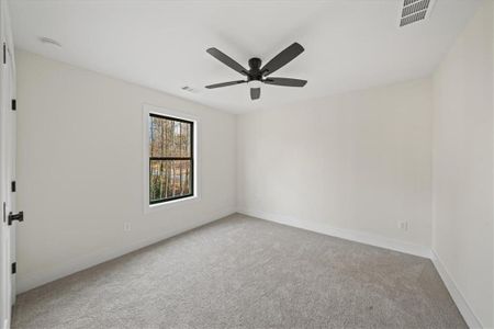 New construction Single-Family house 3040 Cypress Cv, Ball Ground, GA 30107 - image 18