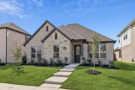 New construction Single-Family house 444 Lost Creek Trl, Waxahachie, TX 75165 plan Blue Jay - image