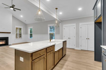 New construction Single-Family house 1153 Oak Bluff Ave, Charleston, SC 29492 Jackson Drive Under- photo 16 16