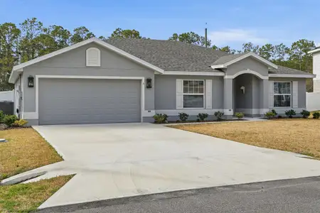 New construction Single-Family house 6 Ryder Pl, Palm Coast, FL 32164 - image