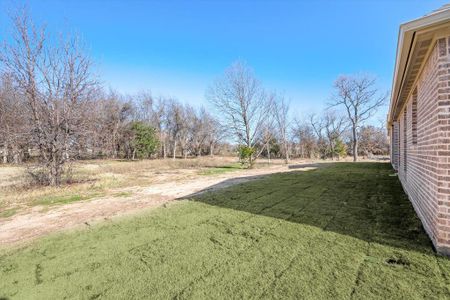 New construction Single-Family house 1024 Monaco Court, Springtown, TX 76082 - photo 34 34