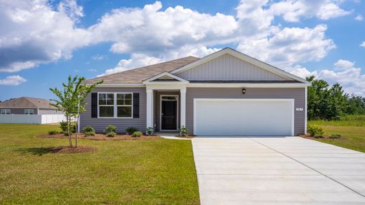 New construction Single-Family house 1019 Ridgeford Dr, Conway, SC 29526 plan ARIA - image
