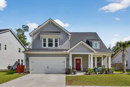 New construction Single-Family house 227 Wappoo Trace Ln, Summerville, SC 29486 - image