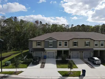 New construction Townhouse house 17399 Nectar Flume Dr, Land O' Lakes, FL 34638 - image