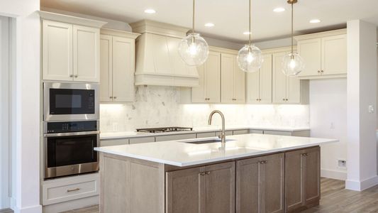 New construction Single-Family house 134 Oswalt Wy, Liberty Hill, TX 78642 plan 3917W - image 9