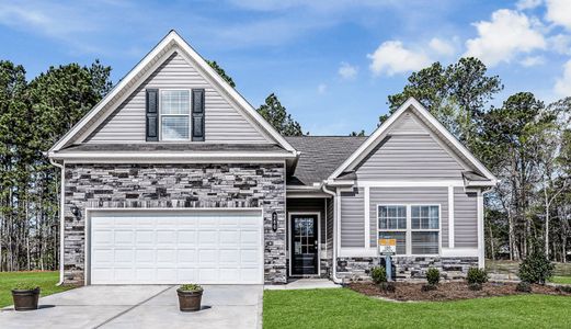 New construction Single-Family house 19 Oriental Street, Angier, NC 27501 - photo 0