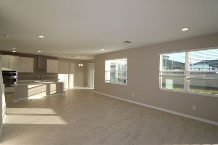 New construction Single-Family house 3063 King Fern Dr, Wimauma, FL 33598 Dali- photo 102 102