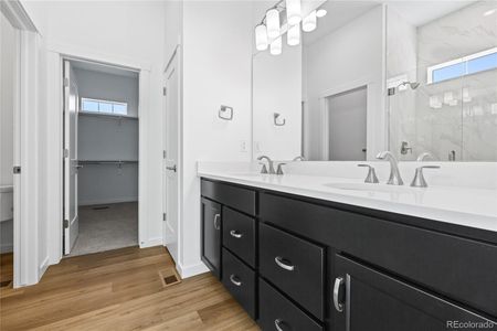 New construction Single-Family house 46 Waterford St, Erie, CO 80516 plan Destination Series - Dillon - image 4